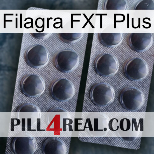 Filagra FXT Plus 31.jpg